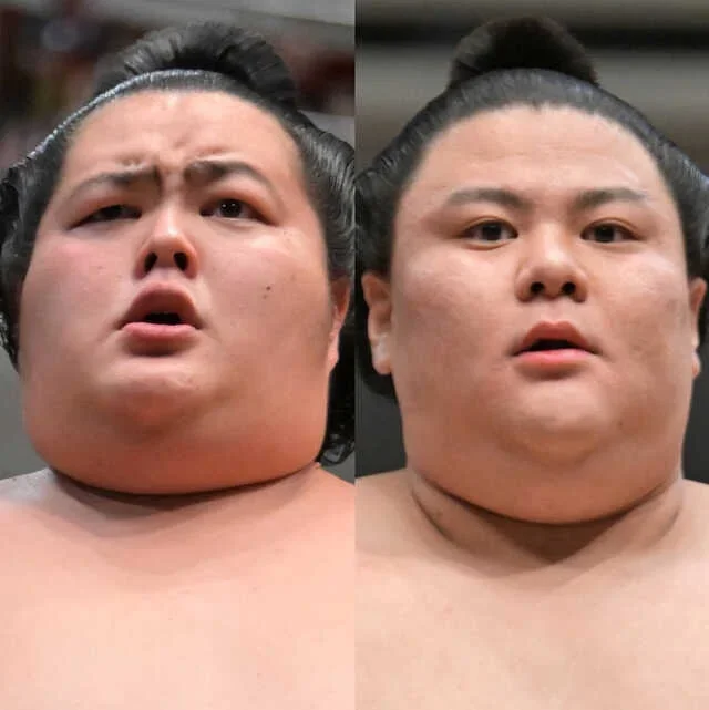 琴桜(左)と義ノ富士